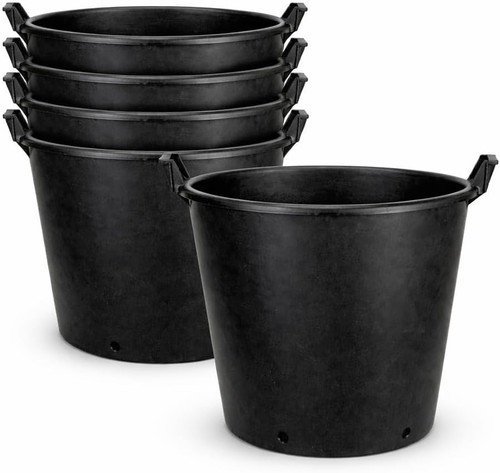 Litre large plant - x,