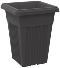 55cm Tall Black Large Plant