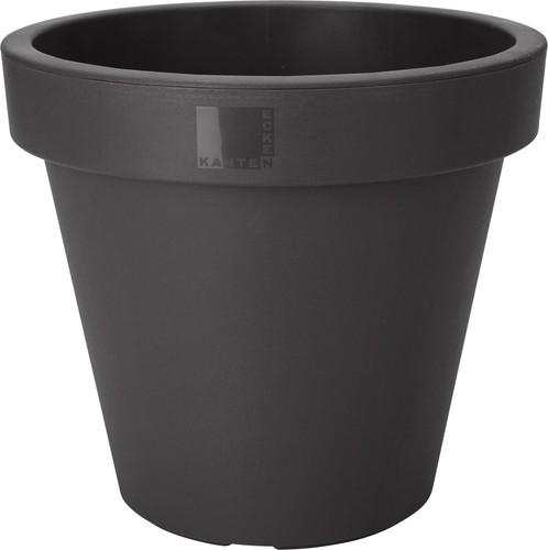 Black large plant - large, pot