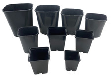 Square Plant Pots Rigid 7cm