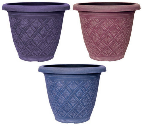 Decorative small large plant - small,