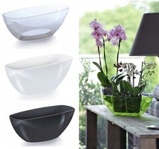 Plant Orchid Pot Plastic 3