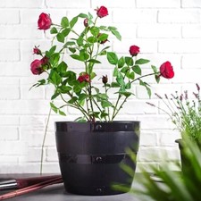 Large 50cm Barrel Tub Planter