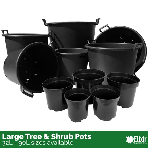 Large plant pot tree - tree, &