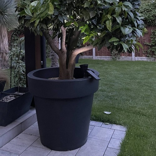 Big plant tree pots - big,