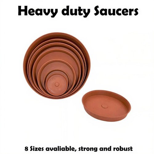 Plant pot saucer - pot, drip